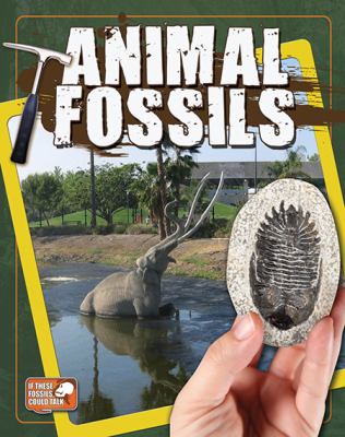 Animal fossils