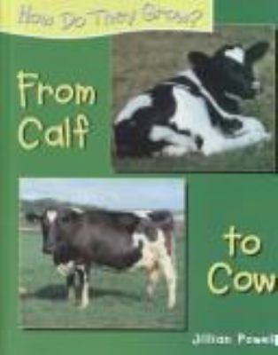 From calf to cow