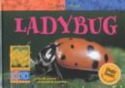 Ladybug