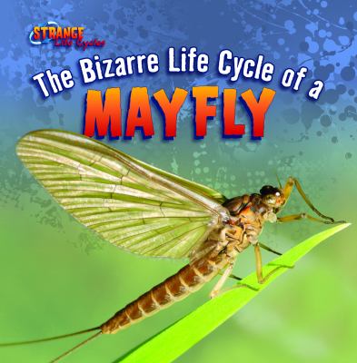 The bizarre life cycle of a mayfly