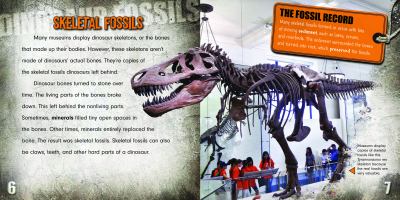 Dinosaur fossils