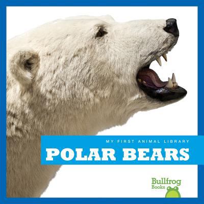 Polar bears