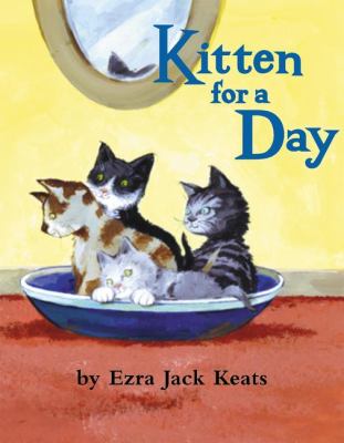 Kitten for a day