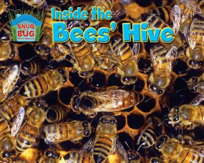 Inside the bees' hive