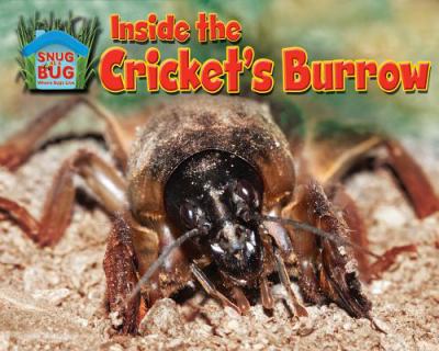 Inside the cricket's burrow