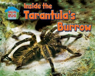 Inside the tarantula's burrow