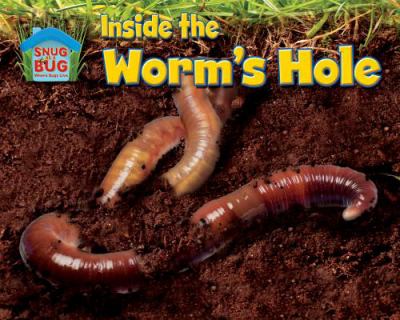 Inside the worm's hole