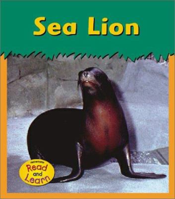 Sea lion