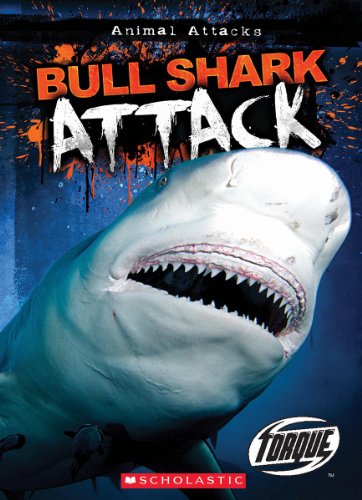 Bull shark attack