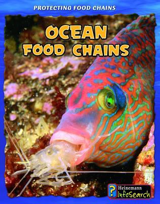 Ocean food chains