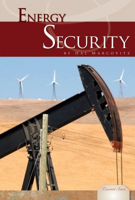 Energy security