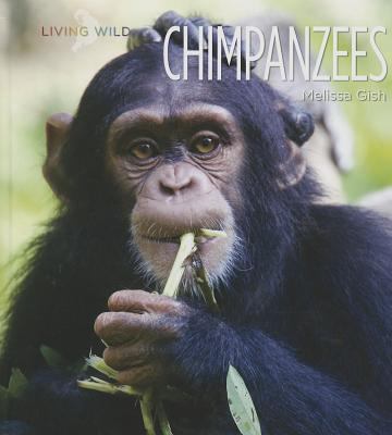 Chimpanzees