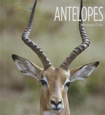 Antelopes