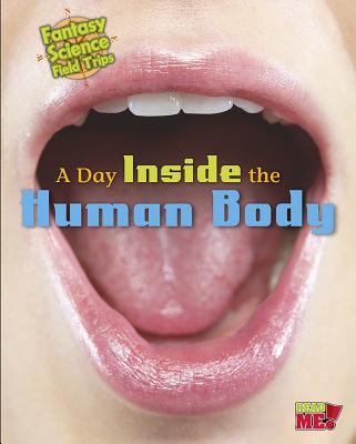 Day inside the human body