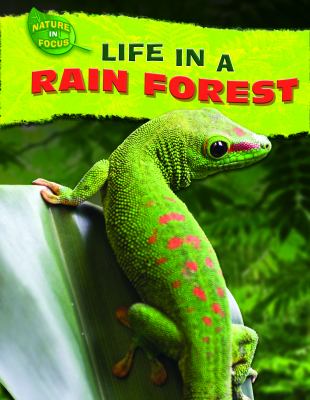 Life in a rain forest