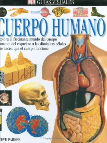 Cuerpo humano