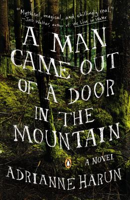 A man came out of a door in the mountain : a novel