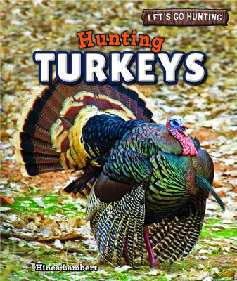 Hunting turkeys