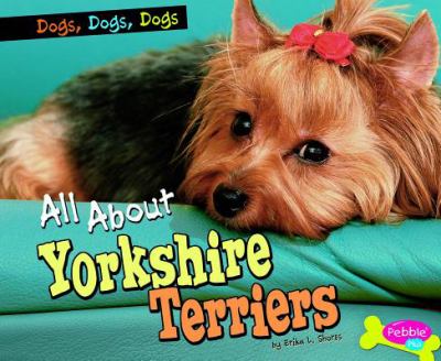 All about yorkshire terriers