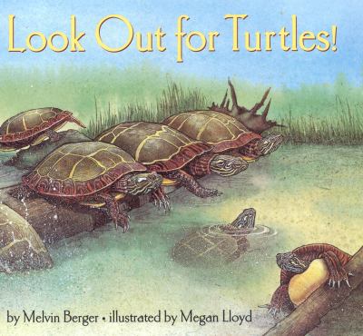 Look out for turtles!