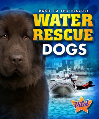Water rescue dogs