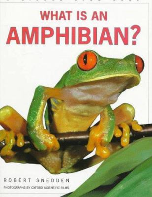 What is an amphibian?