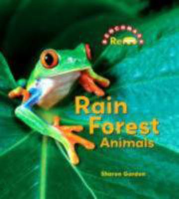 Rain forest animals