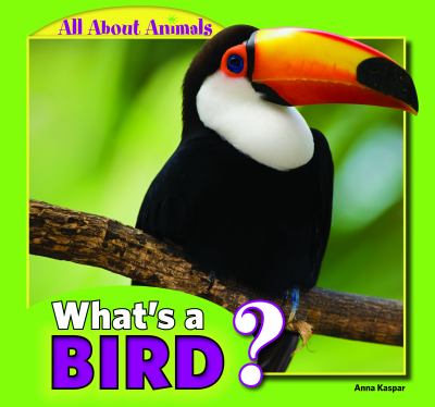 What's a bird?
