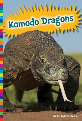 Komodo dragons