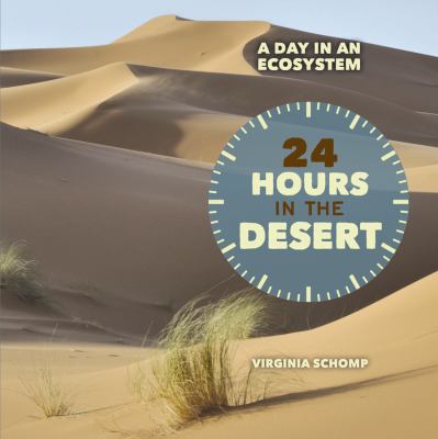 24 hours in the desert