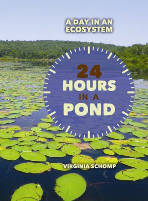 24 hours in a pond