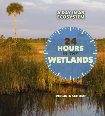 24 hours in the wetlands