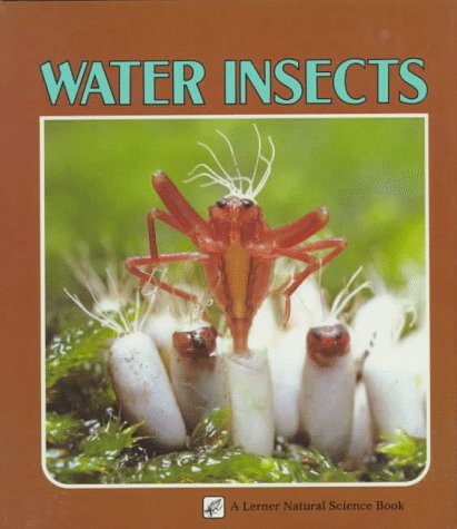 Water insects