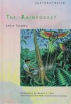 The rainforest