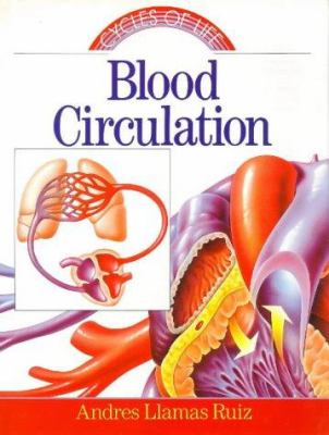 Blood circulation