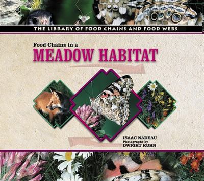 Food chains in a meadow habitat