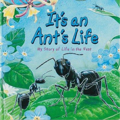 It's an ant's life