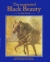 Black Beauty : his grooms and companions : the autobiography of a horse, translated from the original equine