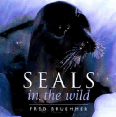 Seals in the wild
