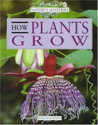 How plants grow