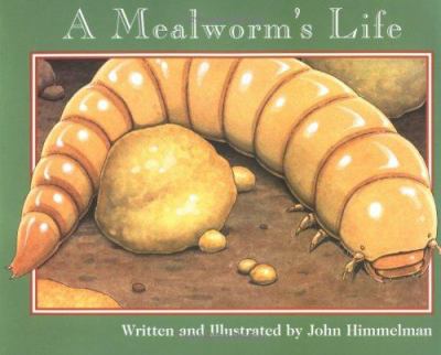 A mealworm's life