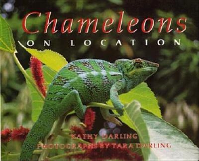 Chameleon, on location