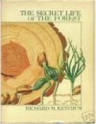 The secret life of the forest