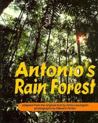 Antonio's rainforest