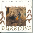 Animal homes, burrows