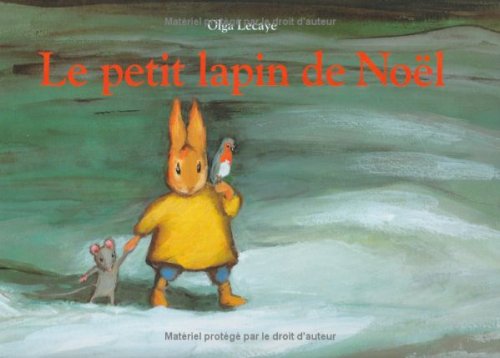 Le petit lapin de Noel