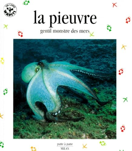 La pieuvre : gentil monstre des mers