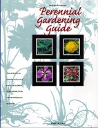 Perennial gardening guide