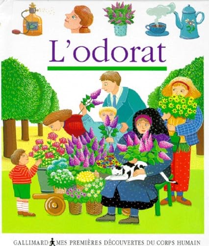 L'Odorat