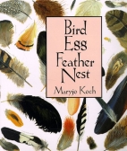 Bird, egg, feather, nest